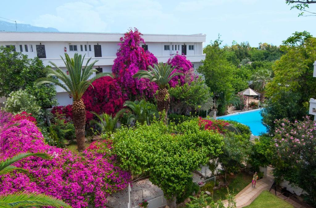 Siagas Beach Hotel Agioi Theodoroi Exterior foto